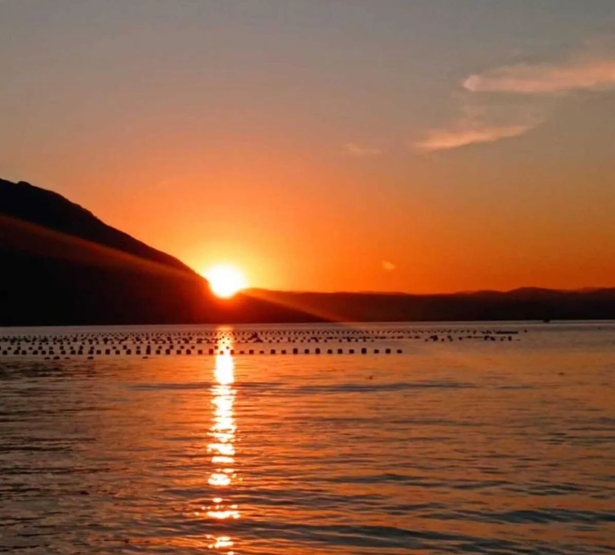 150M Da Praia E A 300M Do Villa Casarao Wz8850 Florianópolis Βραζιλία